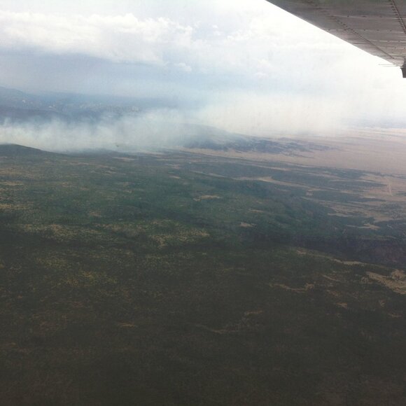 Meet your Posher, William - Picture 4 of 16